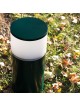 REDDO 217 de GREENART
