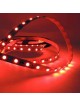 KIT 5M Blister RGB de DUSSELLED