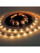 KIT 5M Blister RGB de DUSSELLED