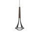 RAIN de LODES