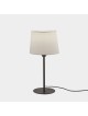 METRICA SOBREMESA de LEDS C4