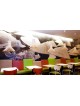 PUNCTO 4203 DE SECTO DESIGN