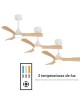 VENTILADOR CARLA S CON LUZ DE SULION